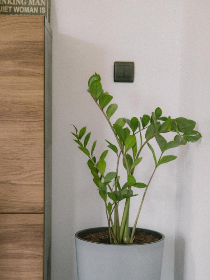 Willa Piwniczka Apartament Jahlowej Piwniczna-Zdroj Exterior foto